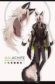 Anime Wolf Human Hybrid Myheroacademia Myheroacademiacosplay Mhacosplay Anime Wolf Human Hybrid Myheroacadem In 2020 Wolf Boy Anime Anime Wolf Anime Animals