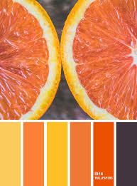 Exploring the orange color palette. Orange Color Scheme Orange Yellow Dark Grey Purple Color Palette