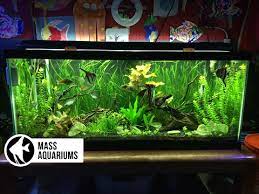 Ebay.de has been visited by 100k+ users in the past month How To Set Up A Freshwater Aquarium Beginners Guide To Your 1st Fish Tank Youtube