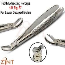 Image Result For Dental Forceps Chart Projects To Try