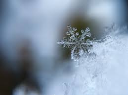 € 0,99 per stuk incl. Sneeuw Feitjes Dit Is Alles Wat Je Over Sneeuw Wilt Weten En Meer
