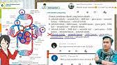 We did not find results for: Jawaban Soal Pg Uji Kompetensi Bab 11 Cahaya Dan Alat Optik Ipa Kelas 8 Hal 224 Youtube