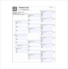 7 generation family tree template 12 free sample example