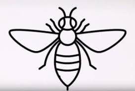 I will be posting drawings and my opinions on certain topics. How To Draw A Bee Easy Step By Step Easy Animals To Draw