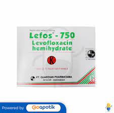 LEFOS 750 MG BOX 10 KAPLET - Kegunaan, Efek Samping, Dosis dan Aturan Pakai