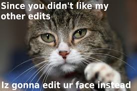 Top 10 Most Funny Quotes Quotes And Humor Cat Biting Cats Animal Puns