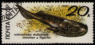 Image result for Cephalaspis