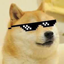 Dogecoin is a cryptocurrency which main feature is that it has likeness of the shiba inu dog. Thug Doge S Stream