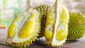 Baner unik durian kocok 8:21 sigitpoer want… 3 Ide Dan Peluang Usaha Dari Olahan Durian Dan Keuntungan Yang Kamu Dapatkan Playboyid