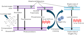 Image result for Hypoxis sp. A (as per FZ 12-3)