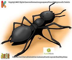 Urutan peristiwa pada cerita semut dan beruang beruang melihat semut berjalan mengambil air, beruang mengancam semut yang sedang berjalan akan tetapi semut tidakmengetahui ancaman tersebut. Urutan Peristiwa Pada Cerita Semut Dan Beruang Cara Golden