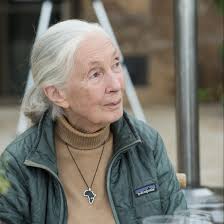 Join us at Hallam Lake