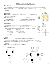 notes understanding inheritance chapter 4