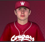 Stealofhome's Fictional Feeder Leagues and MLB Extravaganza