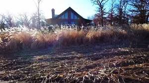 Creative isn’t the way I think, it’s...