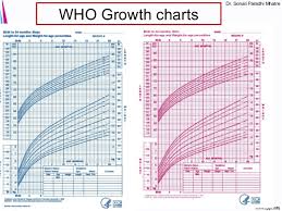 Catahoula Puppy Growth Chart 2019