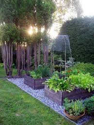 Gemusehochbeete Mit Split Kokstradgard A Vertical Garden Is A Wonder Of Space Flower Decoration A In 2020 Landscaping Around Trees Raised Garden Garden Planning