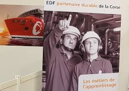 Forum De L Emploi Et De L Alternance En Corse A Ajaccio Zoom Sur Edf