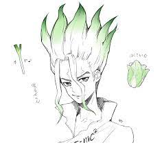 dr stone dr stone絵 雛鳥的插畫 pixiv 絵 イラスト 雛鳥