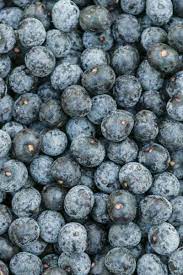Check spelling or type a new query. Acai Berries Health Benefits Nutrition Diet And Risks