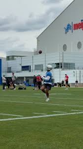 Detroit Lions (@detroitlionsnfl) • Instagram photos and videos