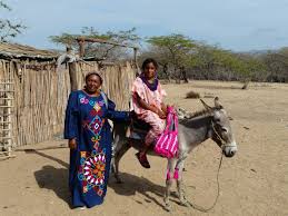 Image result for wayuu