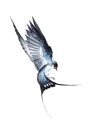 Dibujos Coloridos Del Artista Inspirador A Traves De Pajaros Voladores Colorido Dibujos Coloridos Del Artista Inspirado 2020 Ucan Kus Kus Sanat Cizimler