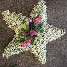Check spelling or type a new query. Delicate Star Richards Floral Design 01902 335 443