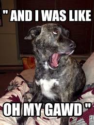 Dog Psychology 12 Things You Didn T Know Funny Animal Jokes Animal Jokes Funny Animal Memes