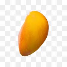 We did not find results for: Ripe Mango Png Unripe Mango Overripe Mango Ripe Mango Color Picking A Ripe Mango Ripe Mango Philippines Benefits Of Ripe Mango Ripe Mango Calories Ripe Mangos In A Basket Julie Mango Tree With Ripe Mangoes Cleanpng Kisspng