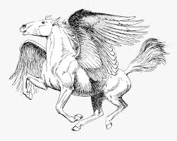 Welcome to the new coralwatch ambassadors! Pegasus Black And White Drawing Realistic Pegasus Coloring Pages Hd Png Download Kindpng