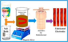 Image result for Sarcophrynium