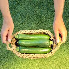 But just why is it so expensive in the uk? 45 Zucchini Growing Tips How To Grow Perfect Zucchini The Frugal Girls