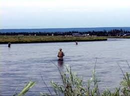 It is beautiful and diverse. Fly Fishing Henry S Fork Idaho Trout Pro Store