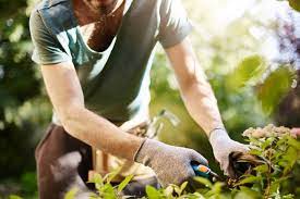 How To Become A Gardener Explore A Gardening Career Stratford Career Institute Blog