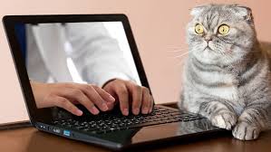 Over a year ago problem with this answer? How To Use Microsoft S Remote Desktop Connection Pcmag