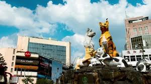 Pengarah dewan bandaraya kuching utara bukit siol, jalan semariang petra jaya, 93050, kuching, saravak, petra jaya, 93050 kuching, saravak, malezya. September 2019 Kuching Sarawak Kuching Stock Footage Video 100 Royalty Free 1038541493 Shutterstock