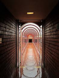 22 Creative And Unique Photographs Of Hallways With Images Frank Lloyd Wright Interior Frank Lloyd Wright Buildings Johnson Wax