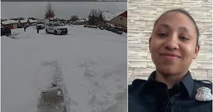 VIDEO: Sterling Heights police officer helps senior citizen after heavy  snowfall