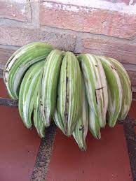 Yes it is me when i was an undergraduate. Photo Of The Fruit Of Royal Variegated Banana Musa X Paradisiaca Ae Ae Posted By Minico Garden Org
