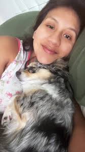 Humita 🫶🏻 #miniaustralianshepherd #babydog #houston #bedtime #pregnant