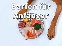 Barfen Fur Anfanger Top Tipps 2020 Mit Anleitung Rezepte Barfen Fur Anfanger Hunde Ernahrung Rezepte
