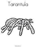 You might also be interested in coloring pages from itsy bitsy spider category. Eensy Weensy Spider Coloring Page Twisty Noodle