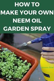 Neem oil will control the pests by reducing their ability to feed on the plants. How To Make Your Own Neem Oil Pesticide Neem Oil Garden Neem Oil Recipes Organic Pesticide