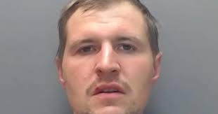 Darlington potty thief Jamie Marriott jailed for crime spree