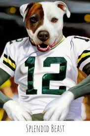 Is Your Dog Your Football Watching Buddy Support Your Favorite Football Team With A Custom Pet Portrait By Sp Pet Portraits Custom Pet Portraits Dog Portraits