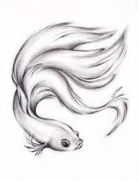Betta Fighting Fish Fish Drawings Beta Fish Drawing Fish Sketch