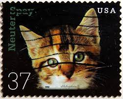 Usa Neuter Spay Kitten Scott 3670 A2841 Issued 2002 Sept 20 Photo Sdc 10 3 4 X 10 1 2 37 Ldb Chat