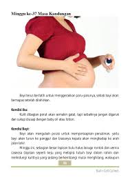 Akibatnya, ibu hamil bisa merasa saat ketika buang air besar. Tahapan Masa Kehamilan