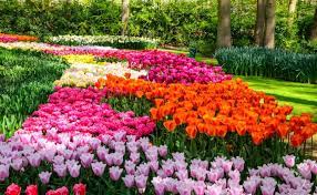 Flower beds with rocks or stones also help keep maintenance low, as you won't need to worry about overgrown grass invading your flowers. 10 Tips To Develop Beautiful Flowerbeds Flower Bed Design Plans